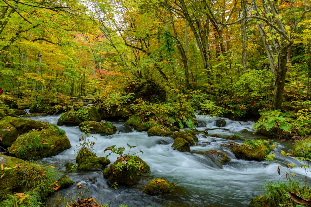 安く東北旅行へ行きたい 東北格安旅行パッケージツアー 往復飛行機なのに安い とってもお得な格安パッケージ旅行情報